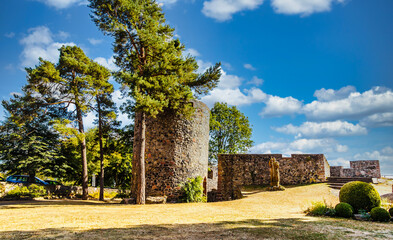 Castle Amoeneburg