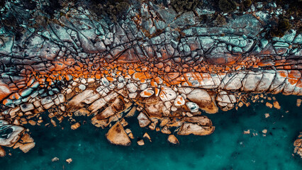 Drone Aerial of Orange Lichen Covered Boulders at Bay of Fires, Tasmania, Green Blue Water, Long Line of boulders