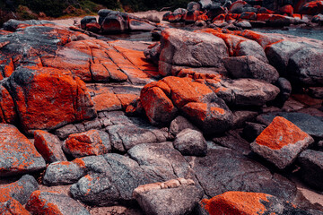 Bay of Fires, Tasmania, Orange Lichen Boulders, Amazing Colors
