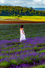 Girl in White Dress and Brown Sun Hat Walks Through Lavender Fields of Bridestowe, Nabowla, Tasmania 