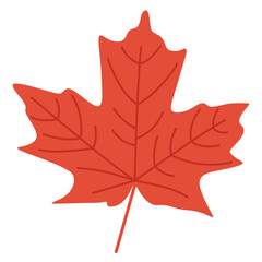 Naklejka premium Autumn leaf