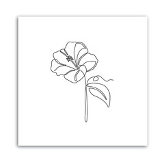 Continuous line drawing of floral design. Sketch of a flower in one line, blooming flower artwork. Minimal Design for text, packaging, prints, walls