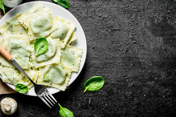 Ravioli with beef on a plate.