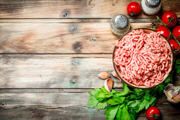 Raw minced meat in a bowl with parsley, tomatoes and garlic.