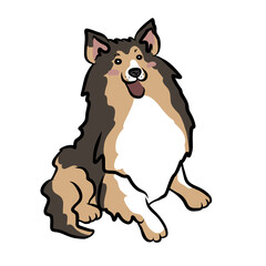 Rough Collie dog cartoon vector illustration	
