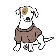 Jack Russell puppy dog wear sweater cartoon vector illustration	
