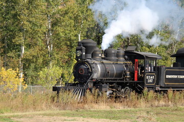 Fototapeta na wymiar steam train in the forest, Fort Edmonton Park, Edmonton, Alberta