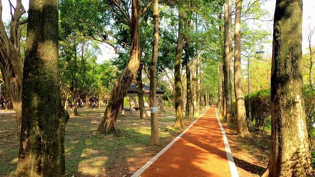 Walking in the Daan Forest Park