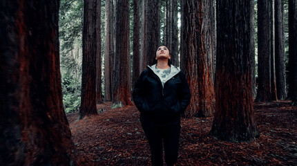 Girl Looks Up At Tall Trees In California Redwood Forest