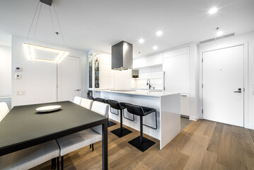 Luxury modern apartment in condominium in Montreal perfectly staged and furnished with amentinites common areas swimming pool, rooftop, terrace, gym, garden and city views