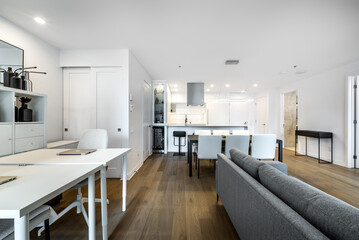 Luxury modern apartment in condominium in Montreal perfectly staged and furnished with amentinites common areas swimming pool, rooftop, terrace, gym, garden and city views