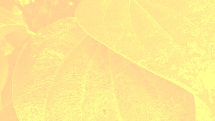 3d yellow background products display podium scene background, yellow, background, yellow, orange, product, podium, 3d, abstract, wall, stage, display, studio, backdrop, vector, stand, platform, 