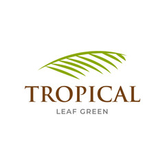 Green Tropical Palm leaf logo vector design template 