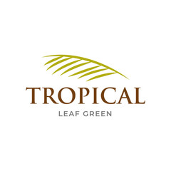 Green Tropical Palm leaf logo vector design template 