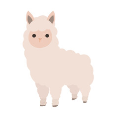 四足歩行のアルパカ
