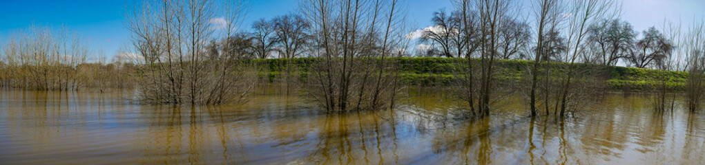 Panorama of flooded area of california with trees underwater 