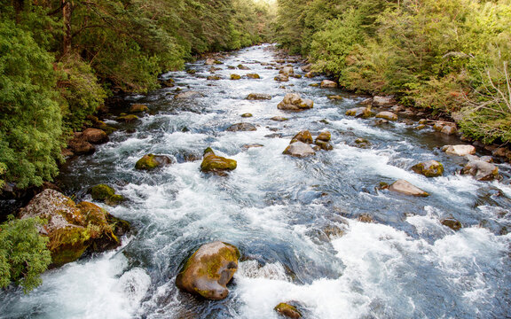 rio cautin 