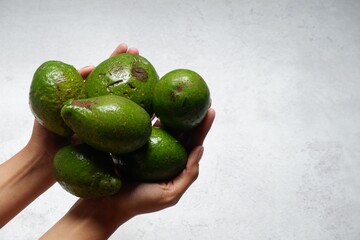hand holding avocado