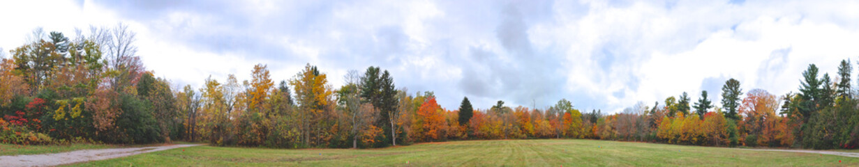 Fototapeta premium Panoramic view of the public park with autumn leaf colour