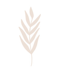 tree branches, eucalyptus, palm leaves, herbs and flowers silhouettes