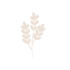 tree branches, eucalyptus, palm leaves, herbs and flowers silhouettes