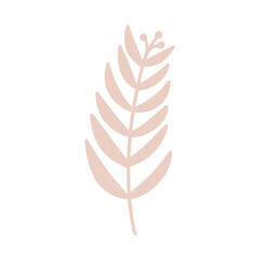 tree branches, eucalyptus, palm leaves, herbs and flowers silhouettes