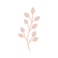 tree branches, eucalyptus, palm leaves, herbs and flowers silhouettes