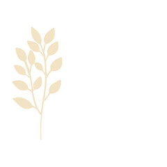 tree branches, eucalyptus, palm leaves, herbs and flowers silhouettes