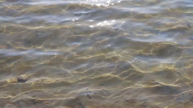 Shallow water of a river with sand