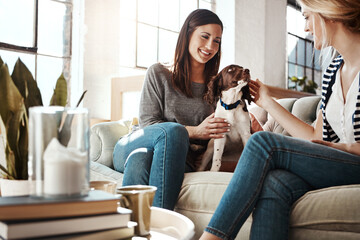 Women, friends and relax with dog on sofa in living room for calm, peace and quality time with pet....