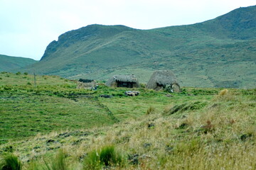 Thatched farm buildings in a field near Latacunga, Ecuador