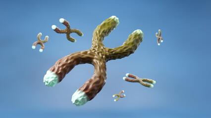 Telomere or chromosome on blue background 3D rendering.