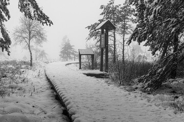 Winterlandschaft Rhön- Im verschneitem Schwarzen Moor 6 © Holger W. Spieker