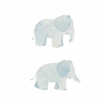 Beautiful stock clip art set with watercolor hand drawn cute safari elephant animals. Illustration for baby.