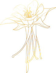 Wild flower golden line art
