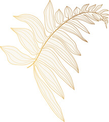 Fototapeta na wymiar Palm leaf gold line art