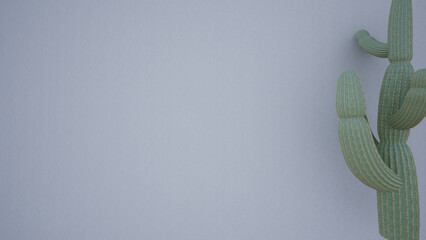 Green pine branch on a white background