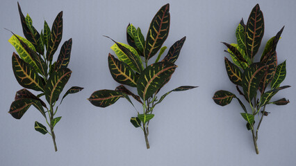 Green plant leaves on a white table background, top view, mockup.