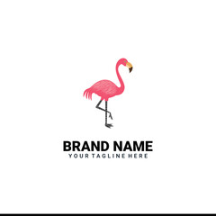 flamingo logo design vector illustration