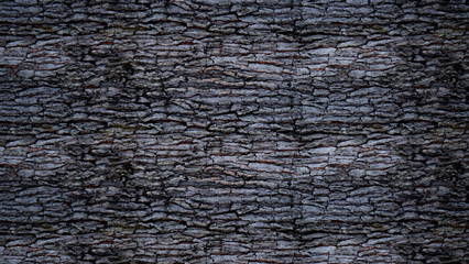 dry tree bark. brown bar background. 