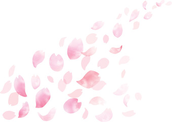 Fototapeta 水彩　風に舞う桜の花びらフレーム、背景 obraz