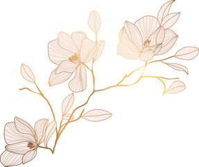 Magnolia flower leaf branch golden line art