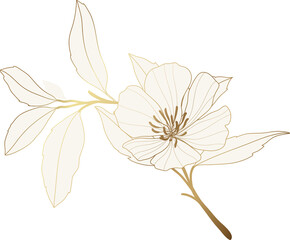 Cherry blossom flower golden line art