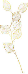 Eucalyptus leaf branch gold line art
