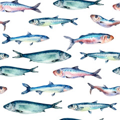 Sea fish horizontally seamless pattern watercolor isolated on white. Various wild fish, herring, sardine, anchovy hand drawn. Design element for textile, paper, background, wrapping, packaging, fabric