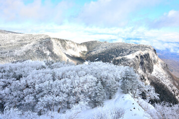 冬の八ヶ岳天狗岳中腹から望む中山峠の雪化粧