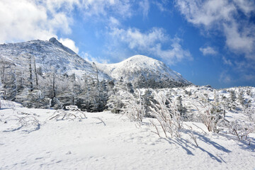 Fototapeta na wymiar 冬の八ヶ岳天狗岳中腹から望む雪化粧の天狗岳山頂