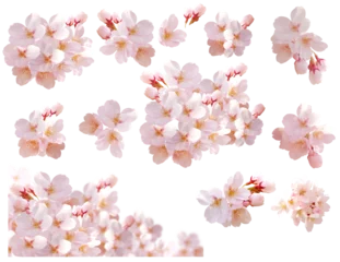 Zelfklevend Fotobehang 桜の花　背景透過、パス付き © IWOZON