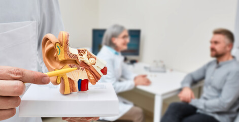 Anatomical model of human ear in doctor hands, close-up. Hearing treatment and diagnosis for male...