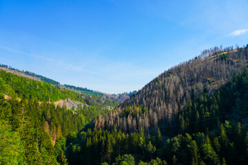 Fototapeta premium View from the Okertalsperre to the surrounding landscape with mountains and forests. 